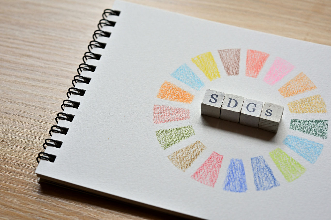 Holfwürfel, die das Wort "SDGs zeigen" auf einem Block 