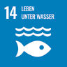 SDG 14 - Leben unter Wasser
