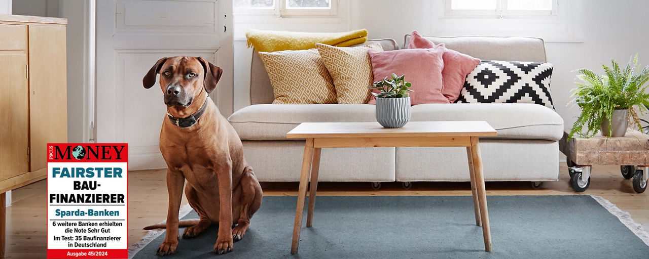 Ein Hund sitzt auf dem Teppich im Wohnzimmer