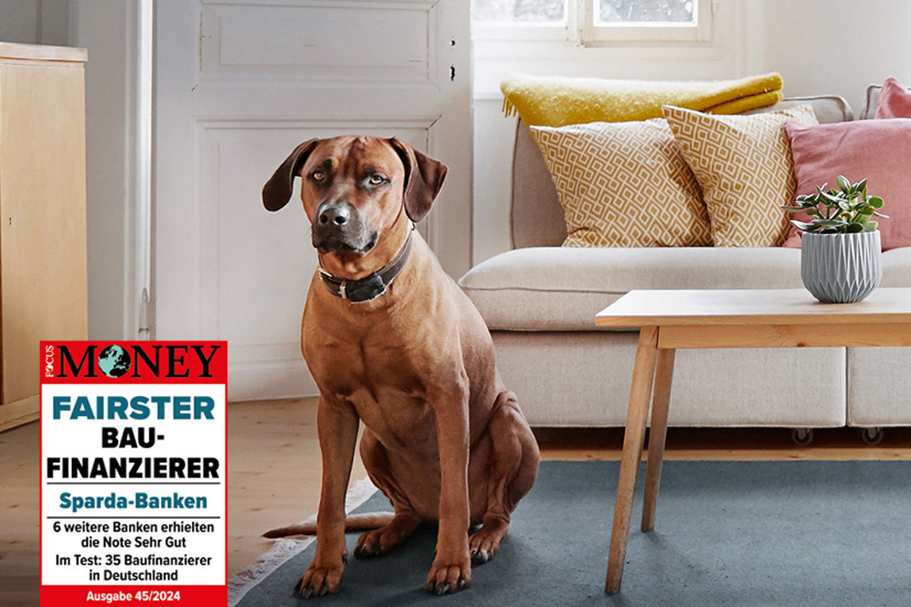 Ein Hund sitzt auf dem Teppich im Wohnzimmer