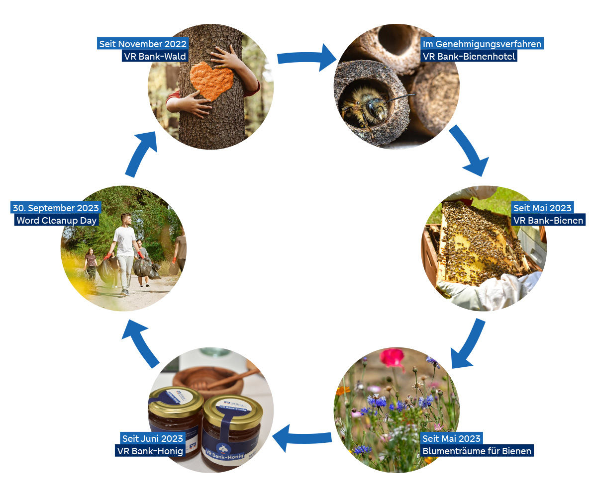 Schaubild des nachhaltigen Engagements der Bank: VR Bank-Bienen, Nisthilfen, Blühwiesen, VR Bank-Honig, World Cleanup Day