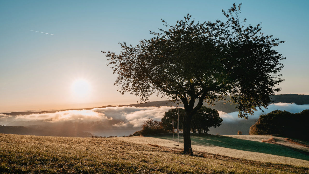 Eine Weide mit einem Baum vor der aufgehenden Morgensonne. Im Tal sind Wolken zu sehen.