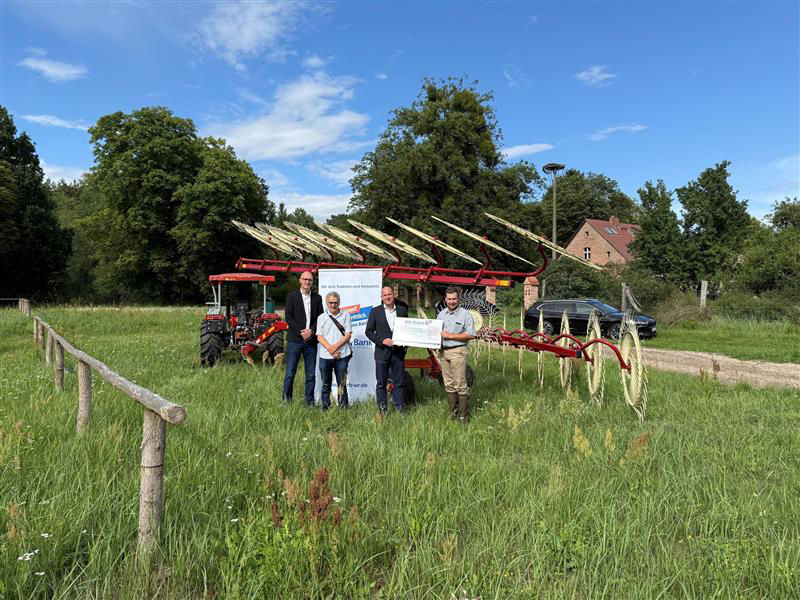 Auf einer grünen Wiese 
