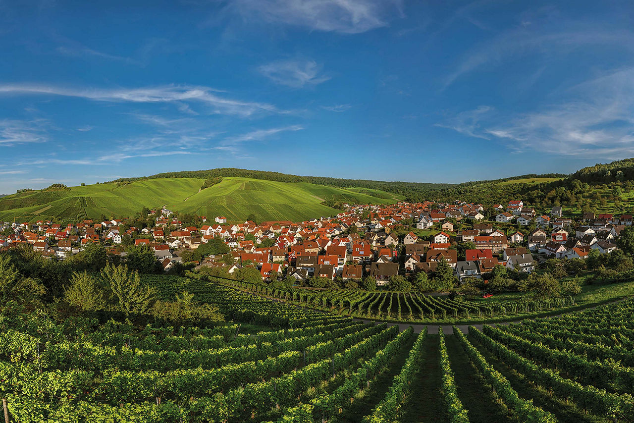 Panorama über Weinstadt-Strümpfelbach