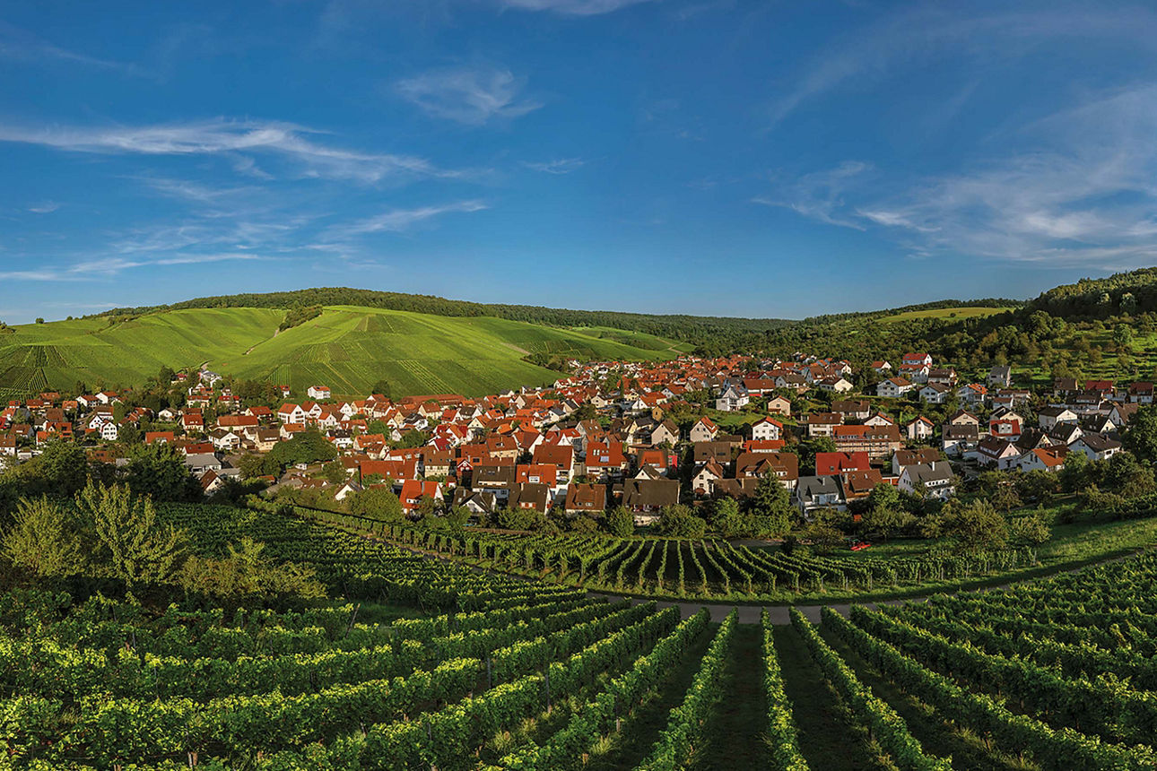 Panorama über Weinstadt-Strümpfelbach