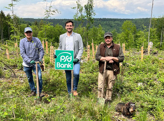 Schutzgemeinschaft Wald Spende Baumspende der PSD Bank