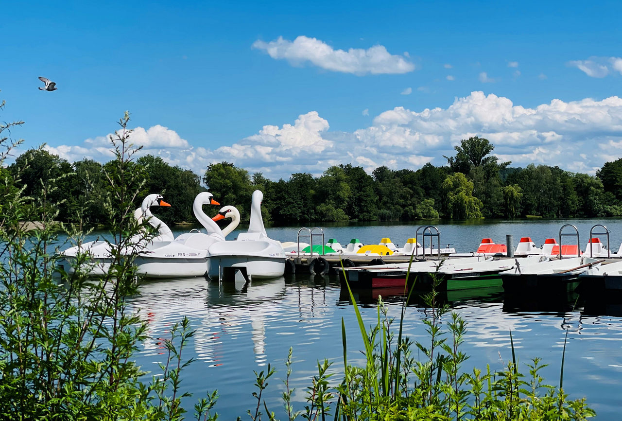 Schwanenteich mit Bootssteg und Tretbooten