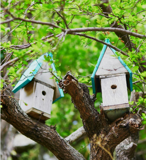 Bildungsprojekt Garten³ 