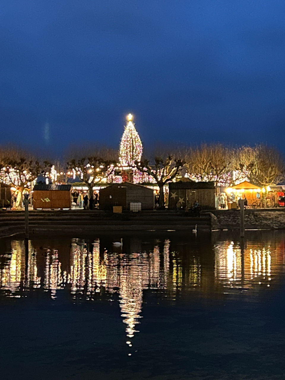 Konstanzer Weihnachtsmarkt bei Nacht in funkelndem Lichterglanz