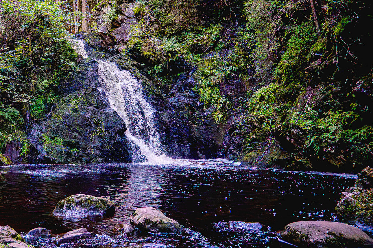 Wasserfall im Wald