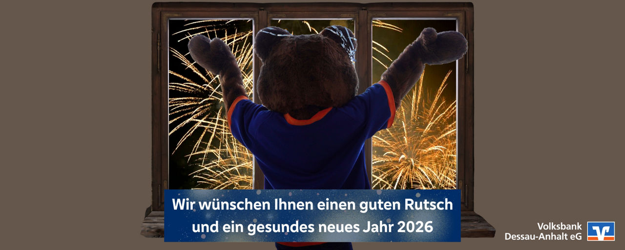 Bär der sich ein Feuerwerk ansieht wünscht einen guten Rutsch ins neue Jahr!