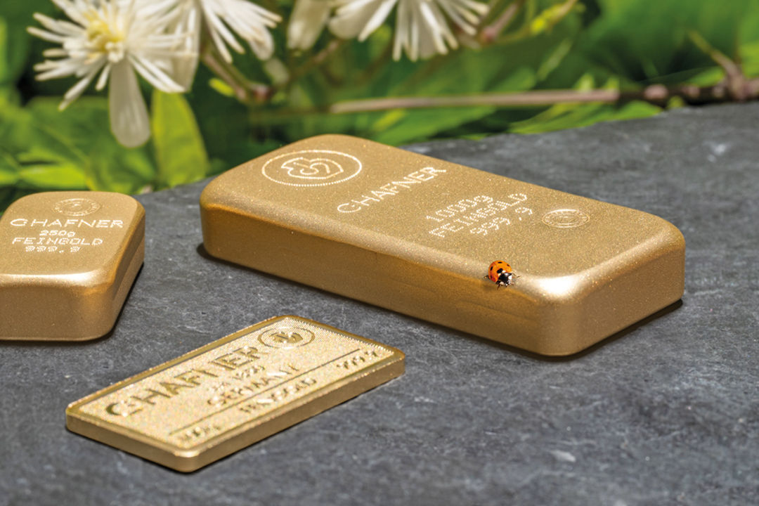 Drei Goldbarren mit einem Marienkäfer und Frühlingsblumen
