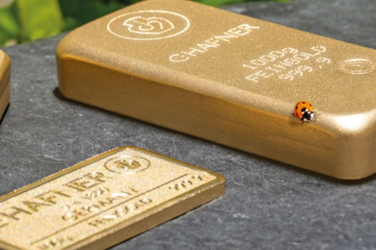 Goldbarren mit einem Marienkäfer