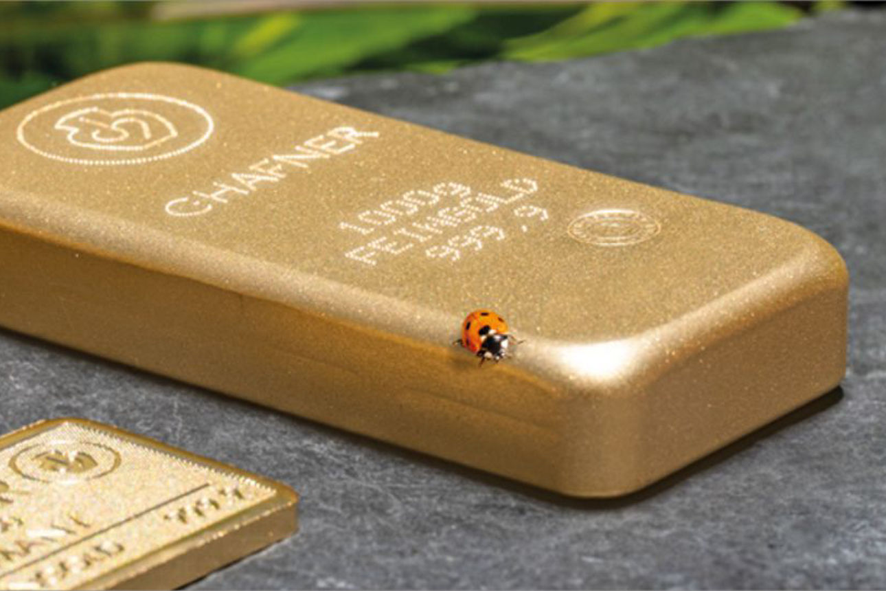Goldbarren mit Marienkäfter - Goldsparwochen Frühling