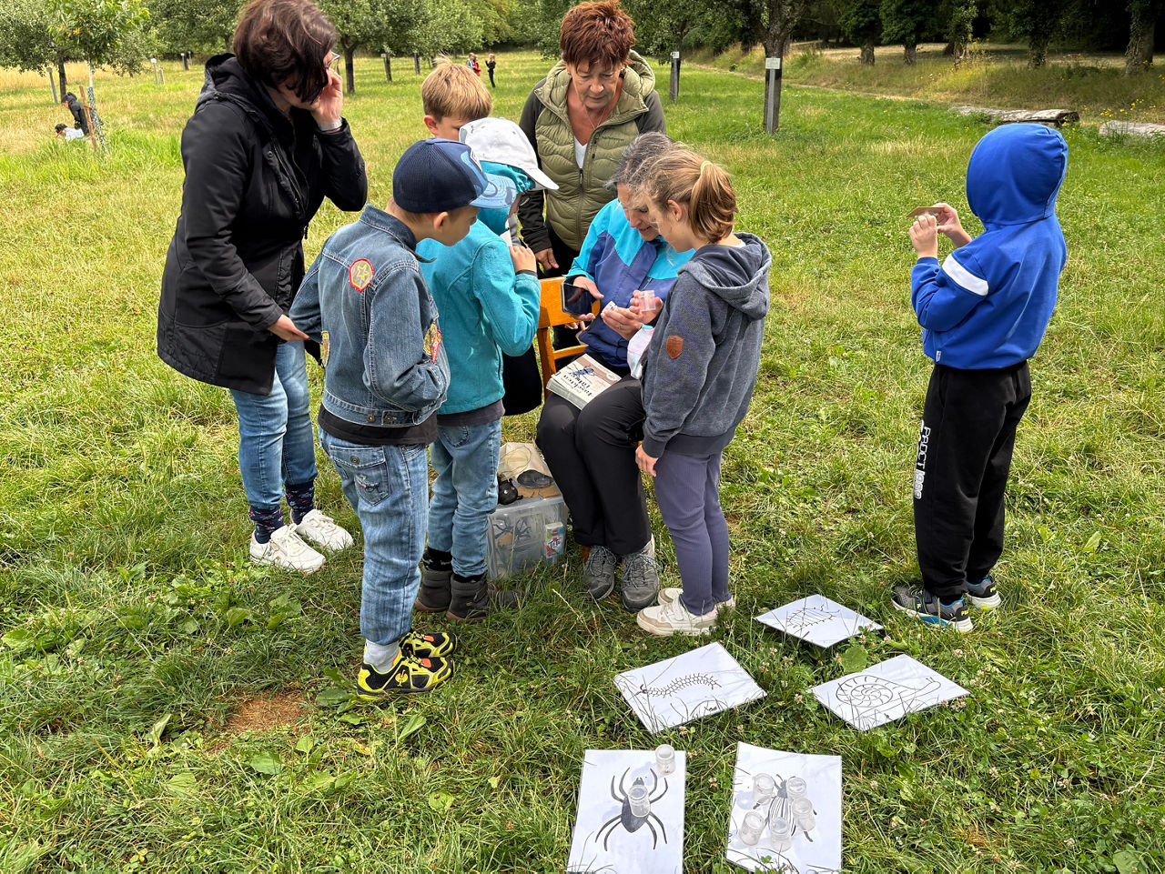 Kinder suchen Insekten auf einer Wiese.