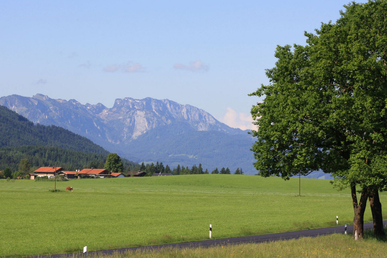 Eine weite, grüne Wiesenlandschaft unter einem klaren blauen Himmel. Im Vordergrund führt eine asphaltierte Straße mit weißen Leitpfosten. Am rechten Bildrand steht ein großer, grüner Baum, und in der Ferne sind Häuser und eine imposante Bergkette zu sehen.