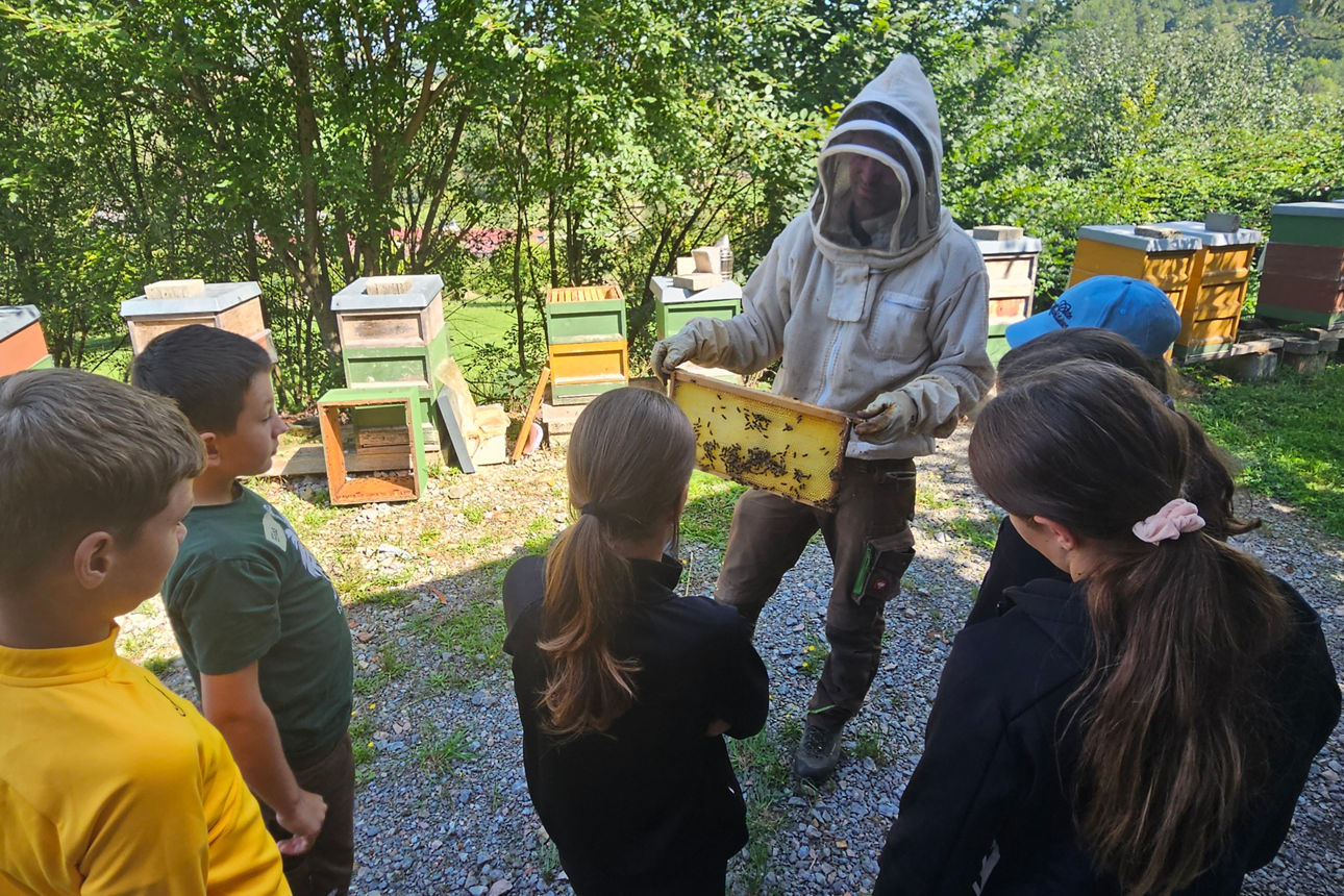 Imker Florian zeigt den Kindern Bienenwaben