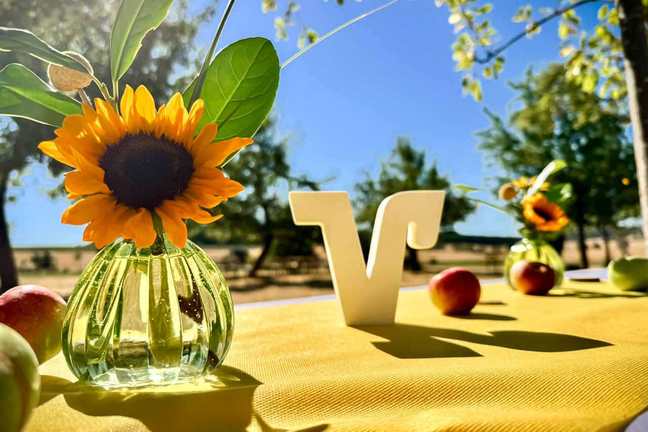 Sommerfest-Atmosphäre auf der Streuobstwiese