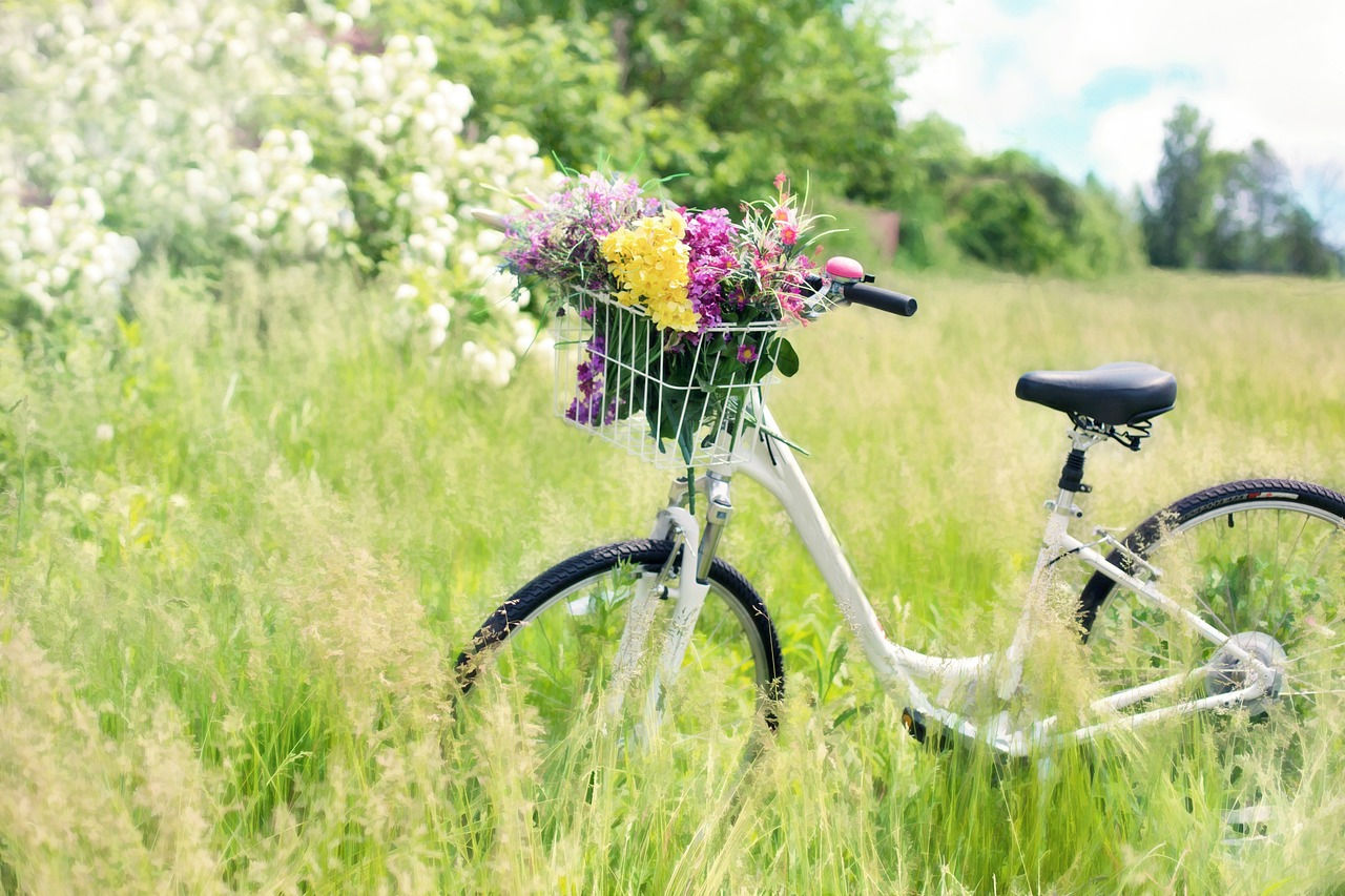 weißes Fahrrad mit Blumenkorb steht auf Frühlingswiese