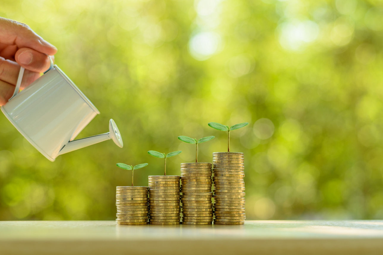 Eine Gießkanne die vier Münzstapel aus denen Pflanzen wachsen symbolisch gießt.