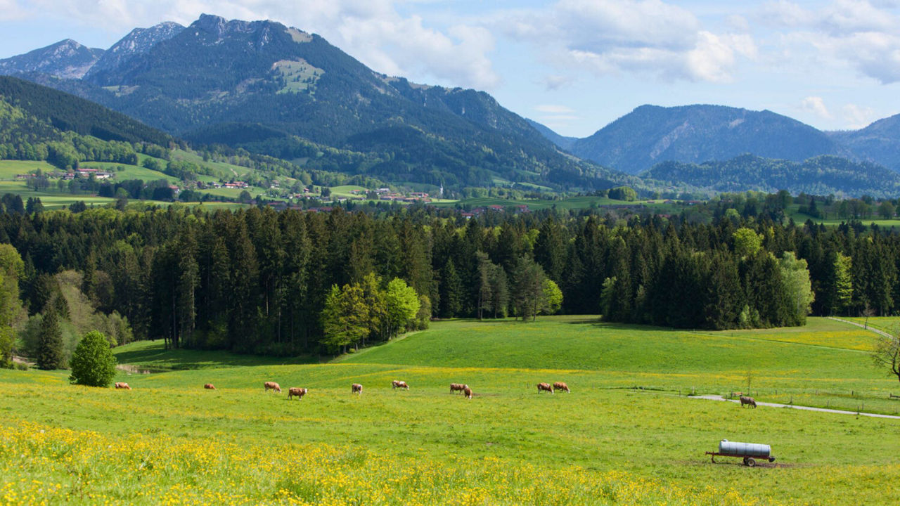Blick von Sonnenreuth über das Leitzachtal zu Breitenstein und Wendelstein