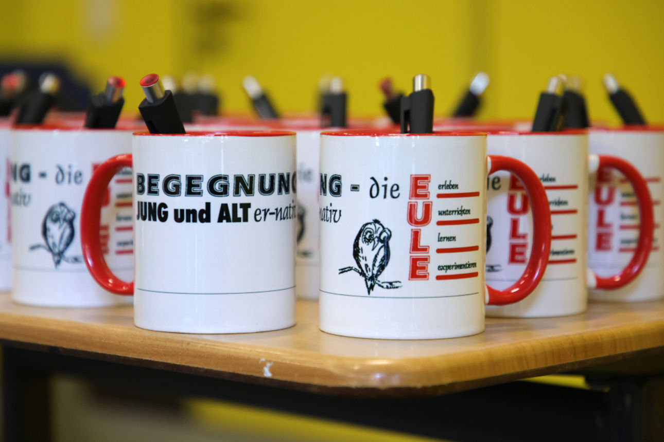 Sozialgeniales_Schulprojekt_Eule_Galerie1