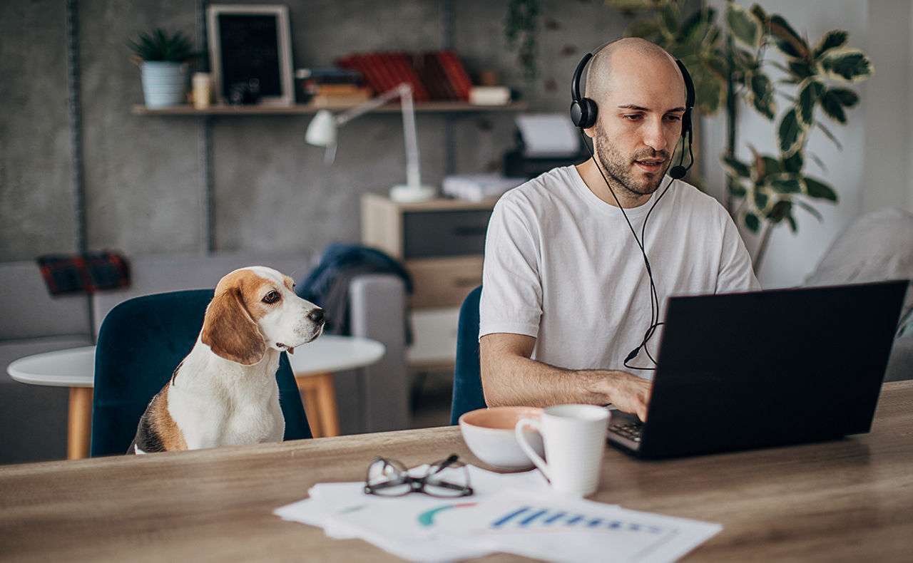 Mann sitzt neben einem Hund vor einem Laptop