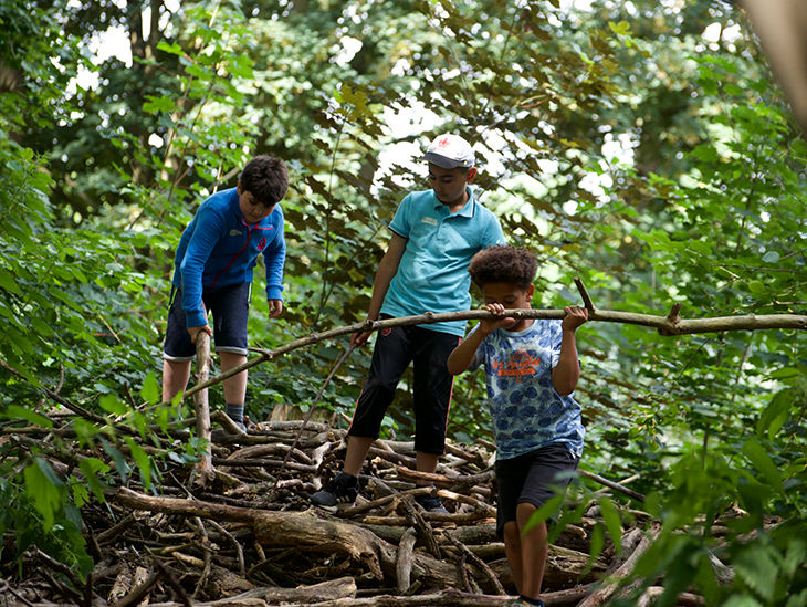 Personen wandern durch einen Wald