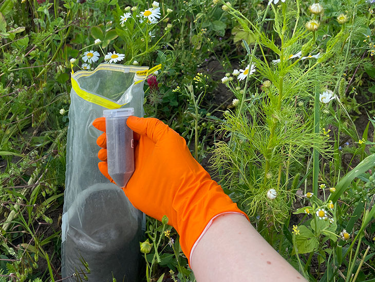 Eine Person hat Blumenerde in einem kleinen Behälter in der Hand