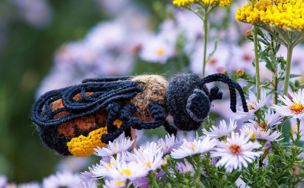 Eine Biene aus Wolle inmitten von vielen kleinen Blümchen