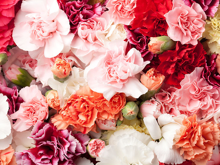 Viele bunte Blumen