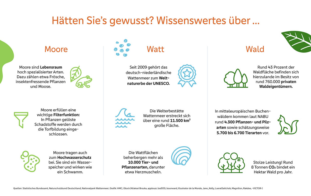 Infografik über Moore, Watt und Wald