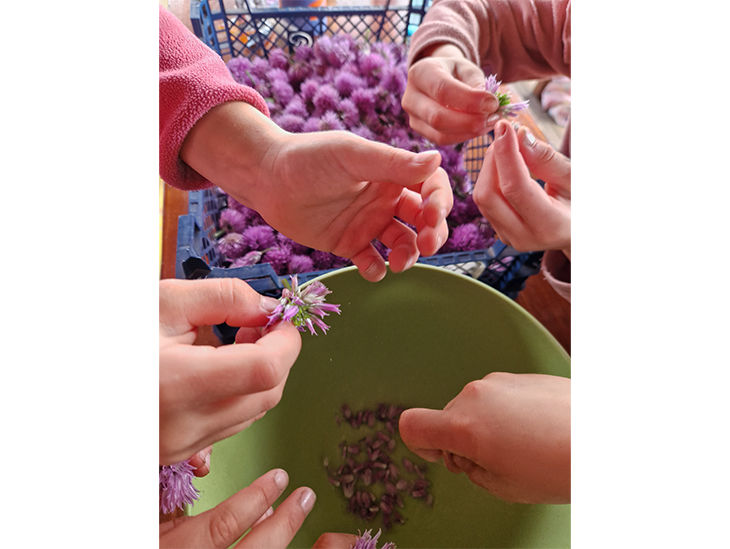 Kinderhände halten Blumen in der Hand