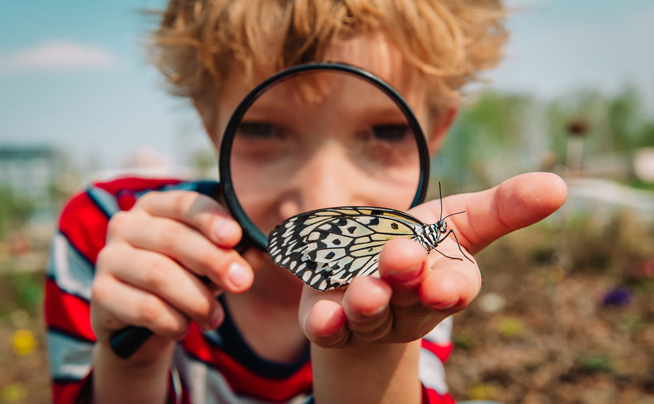 Kind schaut sich durch eine Lupe einen Schmetterling an