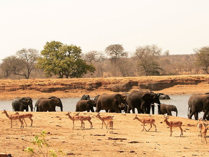 Nationalpark