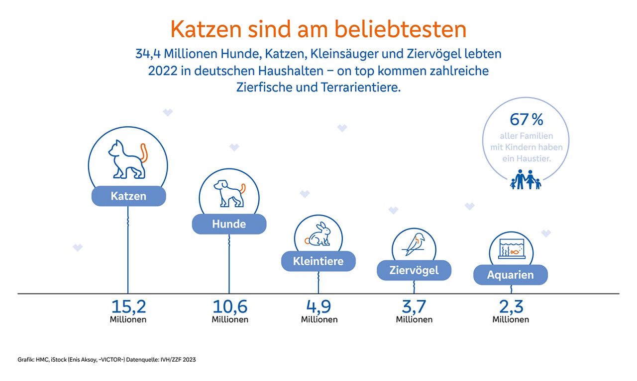 Infografik zum Beliebtheitsstatus von Haustieren