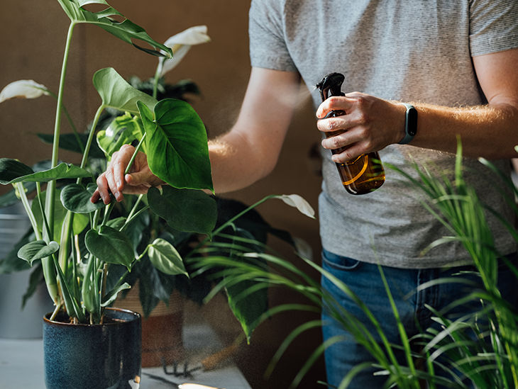 Mann prüft eine Pflanze und hat eine Sprühflasche in der Hand