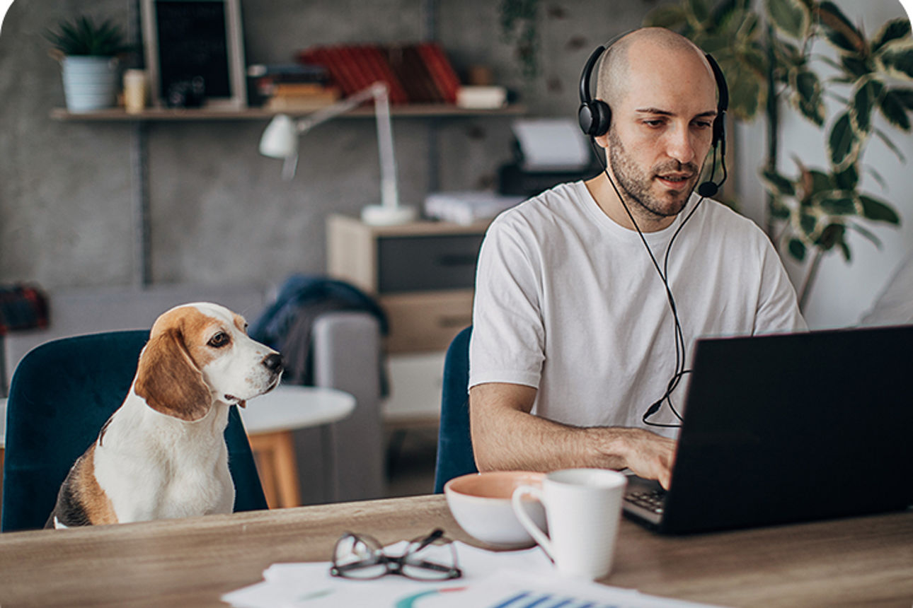 Mann sitzt an seinem Laptop, neben ihm sitzt sein Hund. 