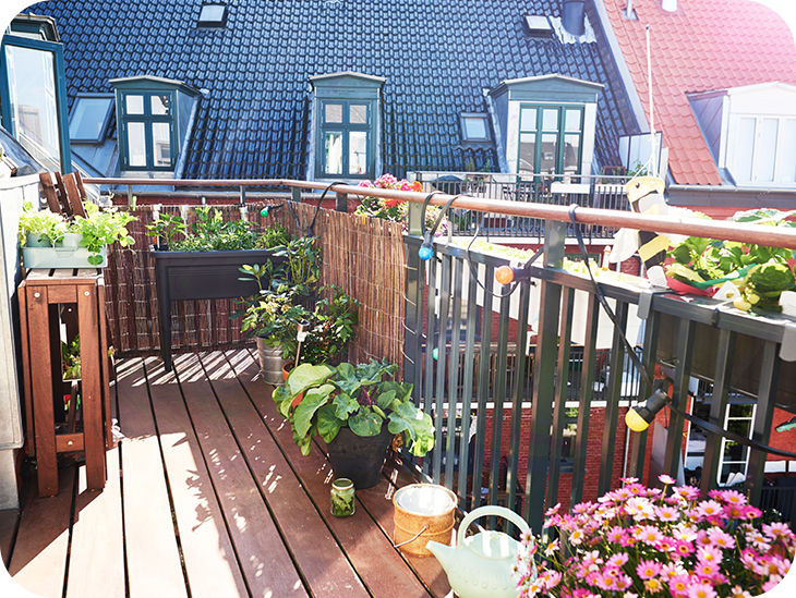 Balkon mit vielen Pflanzen