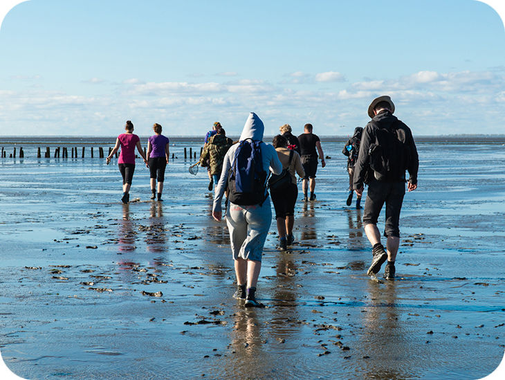 Gruppe macht eine Watt-Wanderung