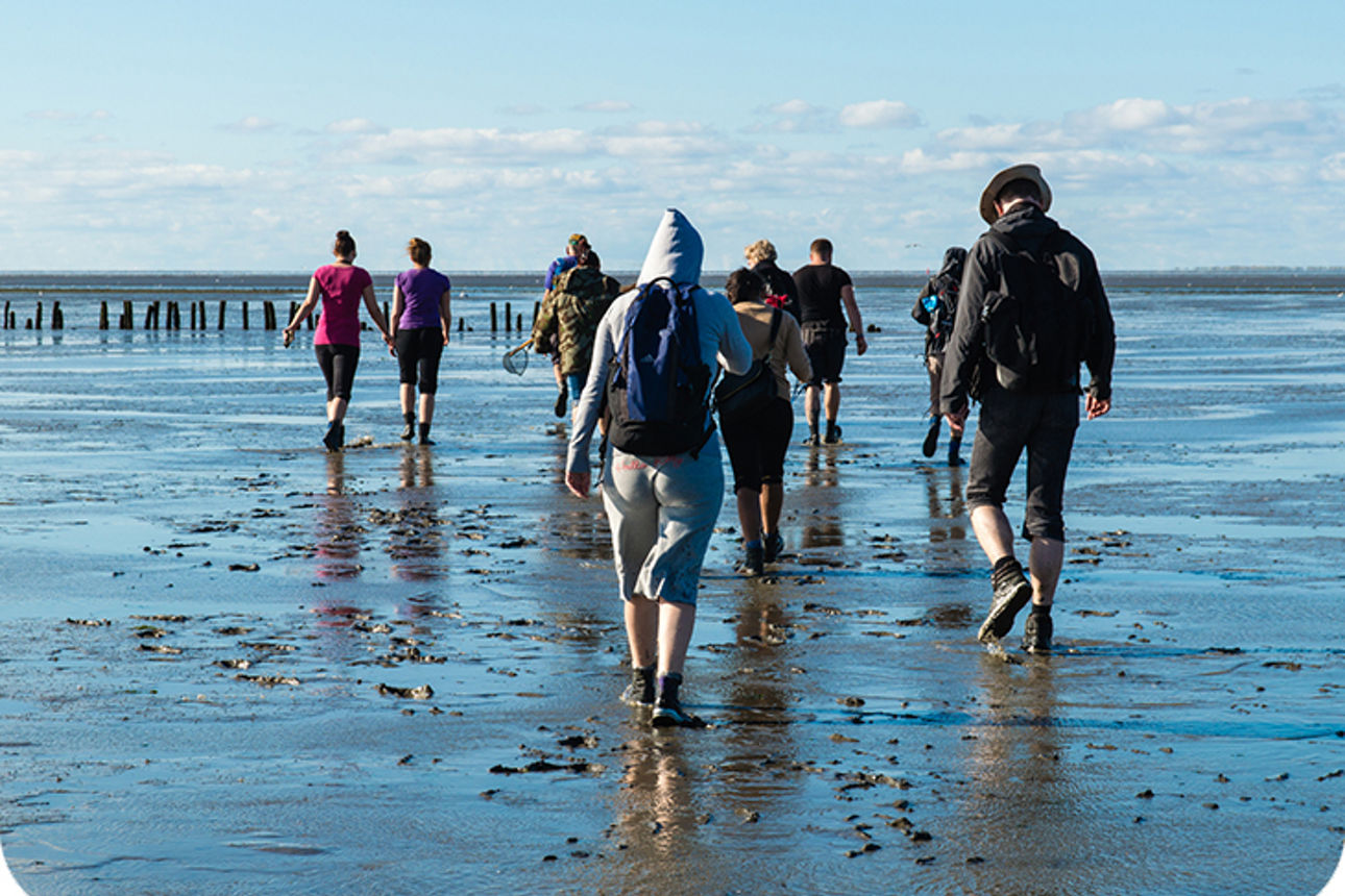Gruppe macht eine Watt-Wanderung