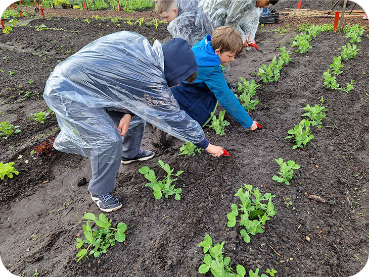 Kinder arbeiten an einem Beet