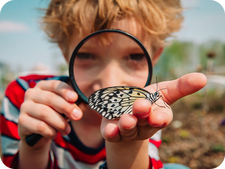 Junge hat einen Schmetterling auf der Hand und beobachtet ihn durch eine Lupe