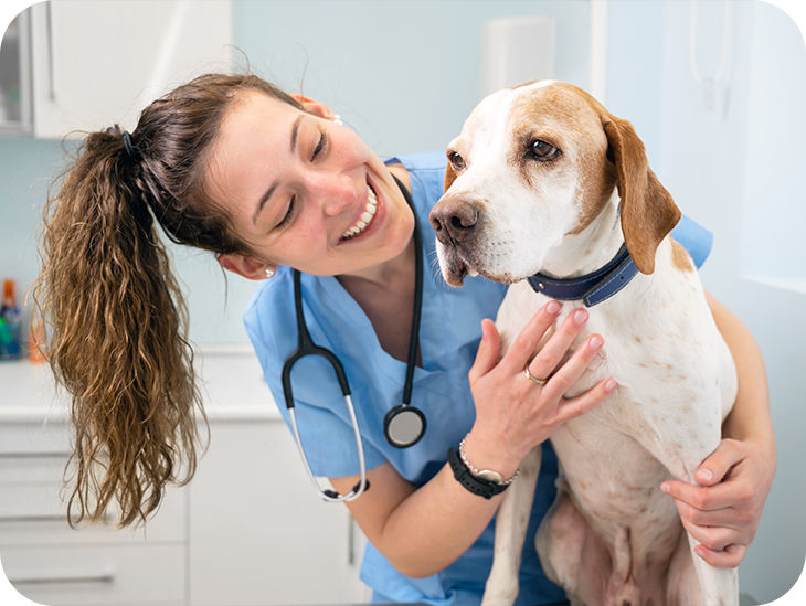 Tierärztin streichelt einen Hund