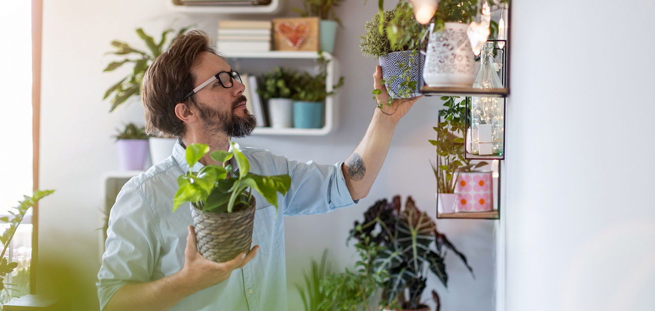 Mann hält eine Topfpflanze in der Hand und steht vor einem Blumenregal