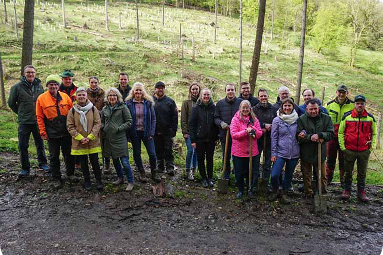 Eine Gruppe von Personen im Wald mit Setzlingen im Hintergrund