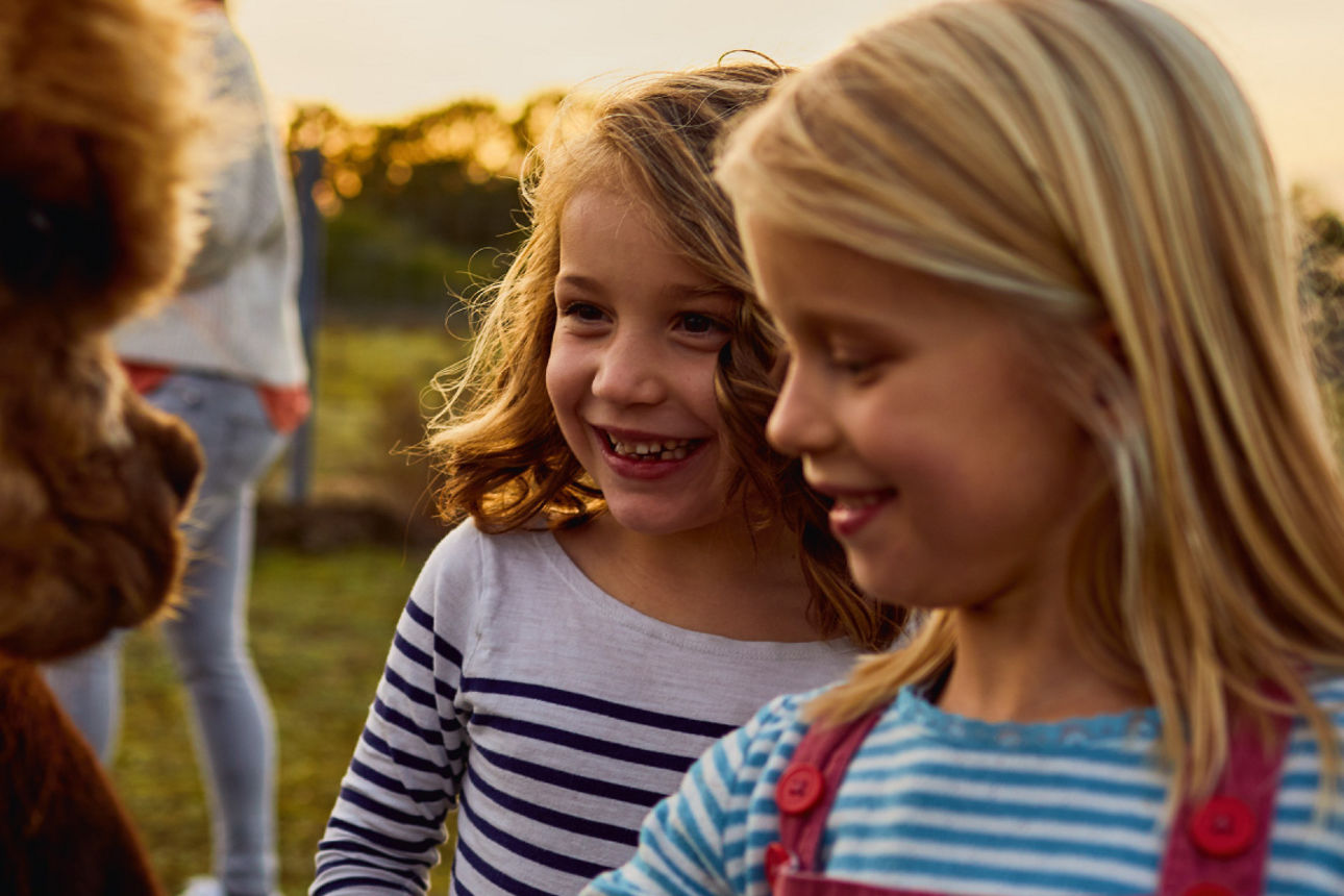 Zwei junge Mädchen füttern zwei Alpakas.
