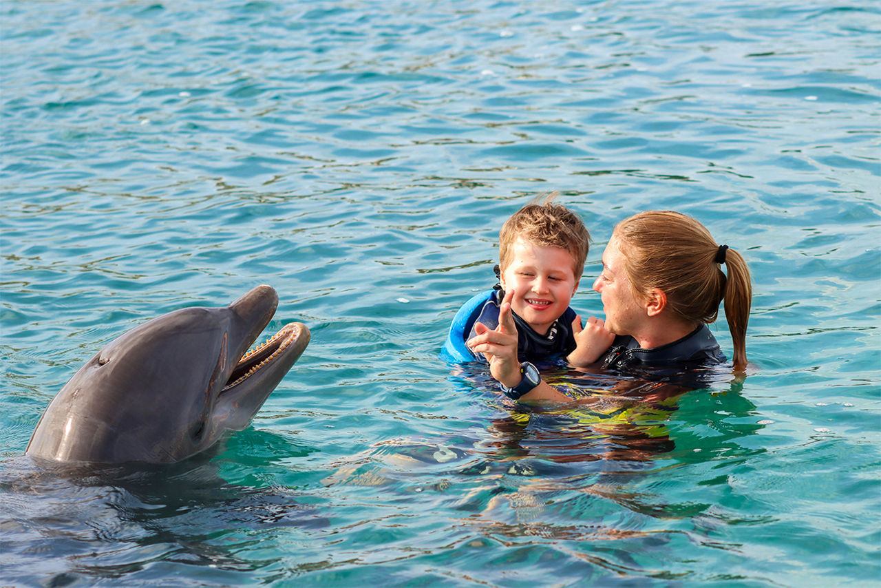 Felix bei der Delfin-Therapie