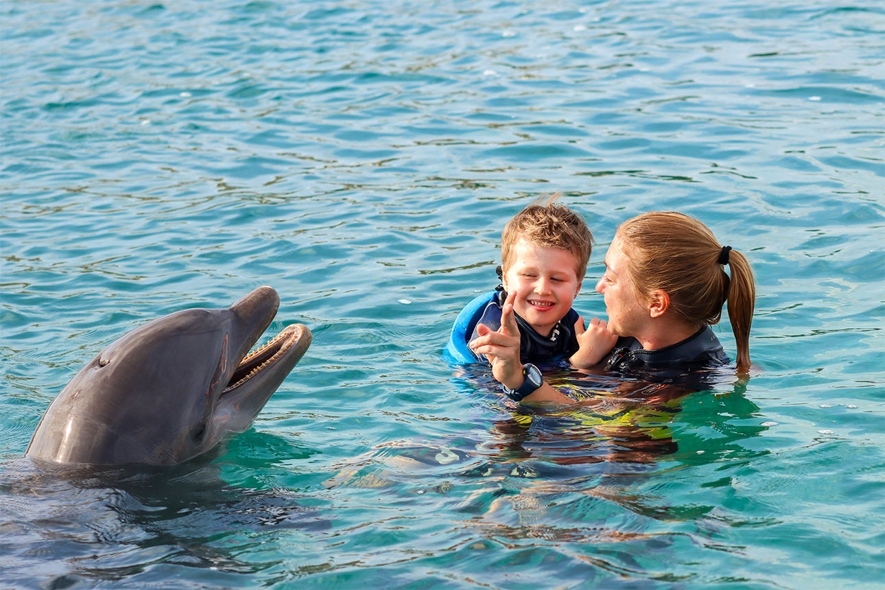 Felix bei der Delfin-Therapie