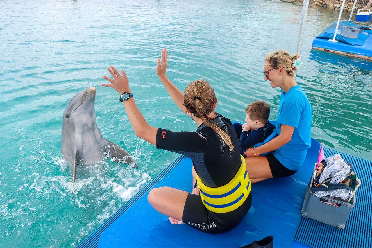 Felix bei der Delfin-Therapie